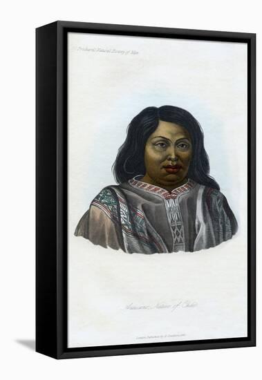 Araucano, Native of Chili, 1848-null-Framed Stretched Canvas