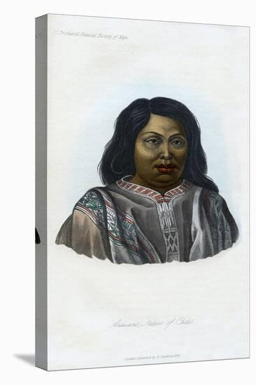Araucano, Native of Chili, 1848-null-Stretched Canvas