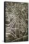 Arawak petroglyph known as the Carib stone, Caurita, Trinidad, Trinidad & Tobago, c1000-1500-Werner Forman-Framed Stretched Canvas