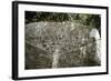 Arawak petroglyph known as the Carib stone, Caurita, Trinidad, Trinidad & Tobago, c1000-1500-Werner Forman-Framed Giclee Print