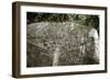 Arawak petroglyph known as the Carib stone, Caurita, Trinidad, Trinidad & Tobago, c1000-1500-Werner Forman-Framed Giclee Print