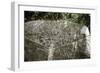 Arawak petroglyph known as the Carib stone, Caurita, Trinidad, Trinidad & Tobago, c1000-1500-Werner Forman-Framed Giclee Print