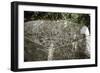 Arawak petroglyph known as the Carib stone, Caurita, Trinidad, Trinidad & Tobago, c1000-1500-Werner Forman-Framed Premium Giclee Print