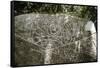 Arawak petroglyph known as the Carib stone, Caurita, Trinidad, Trinidad & Tobago, c1000-1500-Werner Forman-Framed Stretched Canvas