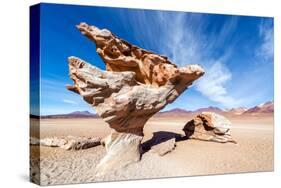 Arbol De Piedra in Bolivia-jkraft5-Stretched Canvas