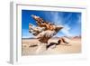 Arbol De Piedra in Bolivia-jkraft5-Framed Photographic Print