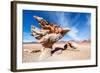 Arbol De Piedra in Bolivia-jkraft5-Framed Photographic Print