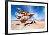 Arbol De Piedra in Bolivia-jkraft5-Framed Photographic Print