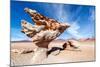 Arbol De Piedra in Bolivia-jkraft5-Mounted Photographic Print