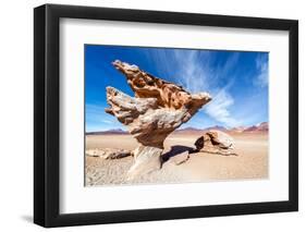 Arbol De Piedra in Bolivia-jkraft5-Framed Photographic Print