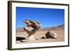 Arbol De Piedra ((Stone Tree)-tkv-Framed Photographic Print