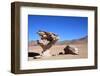 Arbol De Piedra ((Stone Tree)-tkv-Framed Photographic Print