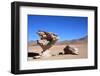 Arbol De Piedra ((Stone Tree)-tkv-Framed Photographic Print