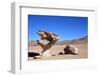 Arbol De Piedra ((Stone Tree)-tkv-Framed Photographic Print