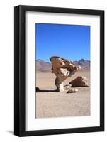 Arbol De Piedra ((Stone Tree)-tkv-Framed Photographic Print