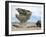 Arbol De Piedra, Wind Eroded Rock Near Laguna Colorada, Southwest Highlands, Bolivia, South America-Tony Waltham-Framed Premium Photographic Print