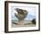 Arbol De Piedra, Wind Eroded Rock Near Laguna Colorada, Southwest Highlands, Bolivia, South America-Tony Waltham-Framed Photographic Print