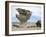 Arbol De Piedra, Wind Eroded Rock Near Laguna Colorada, Southwest Highlands, Bolivia, South America-Tony Waltham-Framed Photographic Print