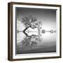 Arbol en Agua 3 BN-Moises Levy-Framed Photographic Print