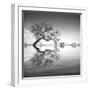 Arbol en Agua 3 BN-Moises Levy-Framed Photographic Print