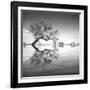 Arbol en Agua 3 BN-Moises Levy-Framed Photographic Print