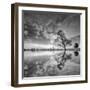 Arbol en Agua 5 BN-Moises Levy-Framed Photographic Print