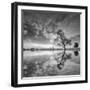 Arbol en Agua 5 BN-Moises Levy-Framed Photographic Print