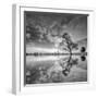 Arbol en Agua 5 BN-Moises Levy-Framed Photographic Print