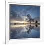 Arbol en Agua 5 color-Moises Levy-Framed Photographic Print