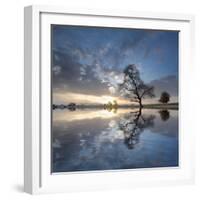 Arbol en Agua 5 color-Moises Levy-Framed Photographic Print