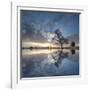 Arbol en Agua 5 color-Moises Levy-Framed Photographic Print