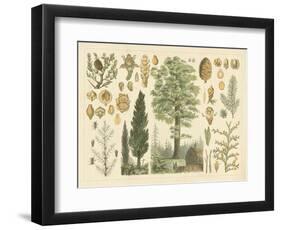 Arbor Collection-Vision Studio-Framed Art Print