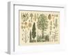 Arbor Collection-Vision Studio-Framed Art Print