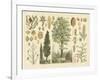 Arbor Collection-Vision Studio-Framed Art Print