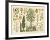 Arbor Collection-Vision Studio-Framed Art Print