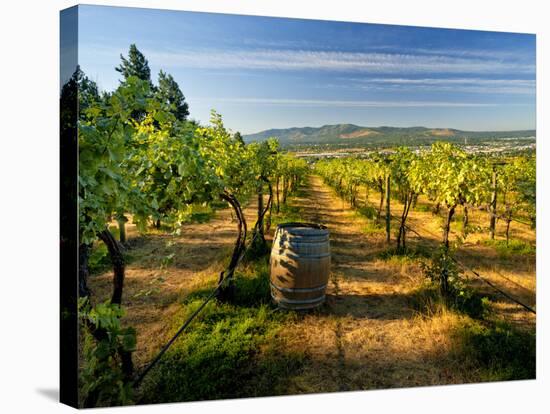 Arbor Crest Wine Cellars in Spokane, Washington, USA-Richard Duval-Stretched Canvas