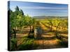 Arbor Crest Wine Cellars in Spokane, Washington, USA-Richard Duval-Stretched Canvas