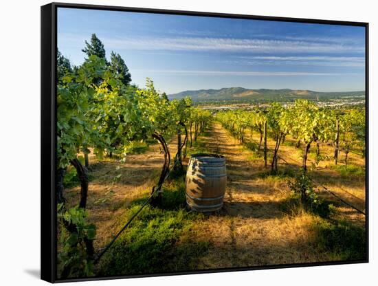 Arbor Crest Wine Cellars in Spokane, Washington, USA-Richard Duval-Framed Stretched Canvas