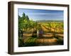 Arbor Crest Wine Cellars in Spokane, Washington, USA-Richard Duval-Framed Premium Photographic Print
