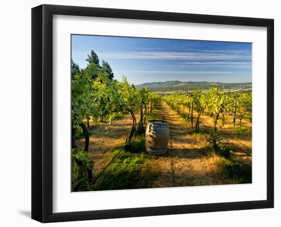 Arbor Crest Wine Cellars in Spokane, Washington, USA-Richard Duval-Framed Premium Photographic Print