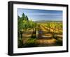 Arbor Crest Wine Cellars in Spokane, Washington, USA-Richard Duval-Framed Premium Photographic Print