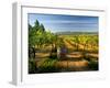 Arbor Crest Wine Cellars in Spokane, Washington, USA-Richard Duval-Framed Premium Photographic Print