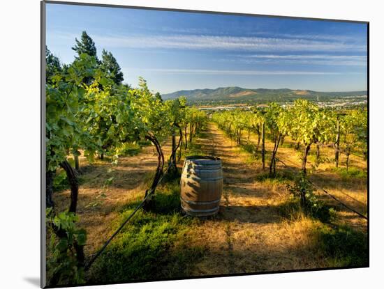 Arbor Crest Wine Cellars in Spokane, Washington, USA-Richard Duval-Mounted Premium Photographic Print