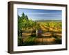 Arbor Crest Wine Cellars in Spokane, Washington, USA-Richard Duval-Framed Photographic Print