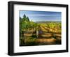 Arbor Crest Wine Cellars in Spokane, Washington, USA-Richard Duval-Framed Photographic Print