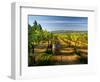 Arbor Crest Wine Cellars in Spokane, Washington, USA-Richard Duval-Framed Photographic Print