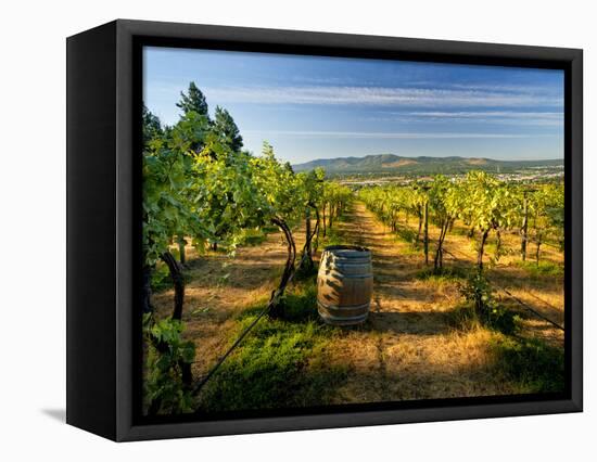 Arbor Crest Wine Cellars in Spokane, Washington, USA-Richard Duval-Framed Stretched Canvas