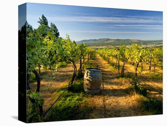 Arbor Crest Wine Cellars in Spokane, Washington, USA-Richard Duval-Stretched Canvas