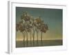 Arbor Grove-Terri Burris-Framed Art Print