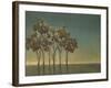 Arbor Grove-Terri Burris-Framed Art Print